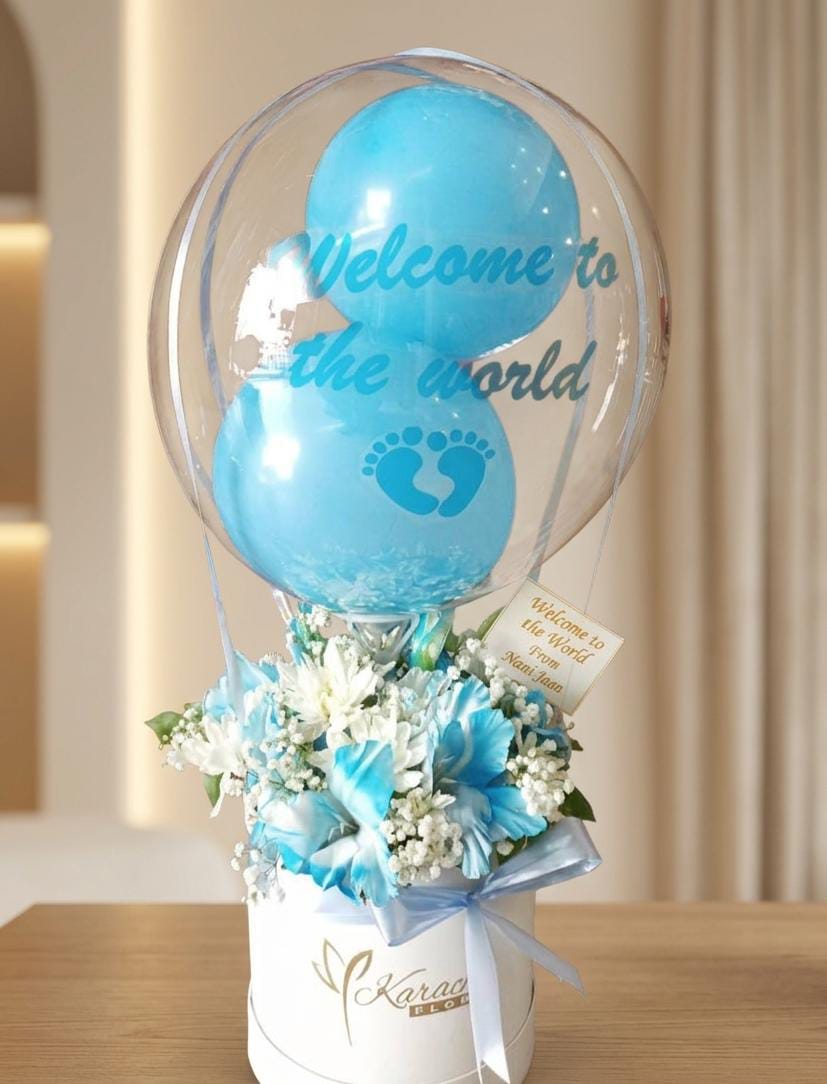 Welcome to the World Baby Boy Box  KF102