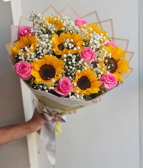  Sun Delight KF014