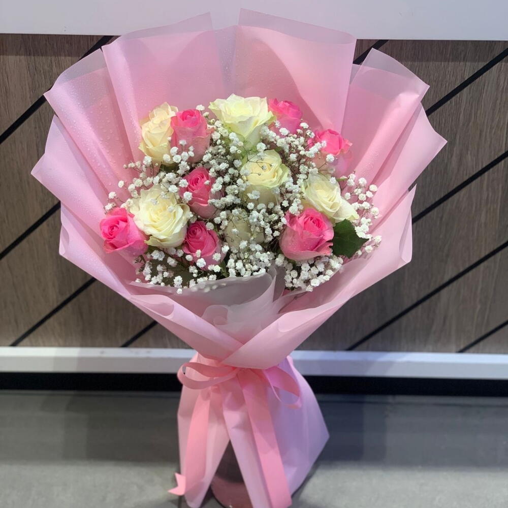 Blush Elegance KF 186