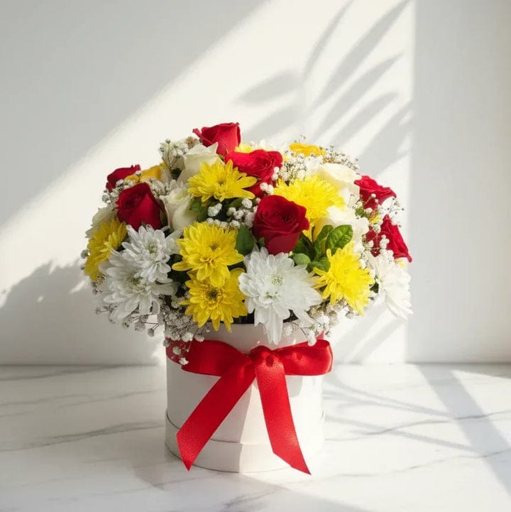 Primary Palette Hatbox KF070